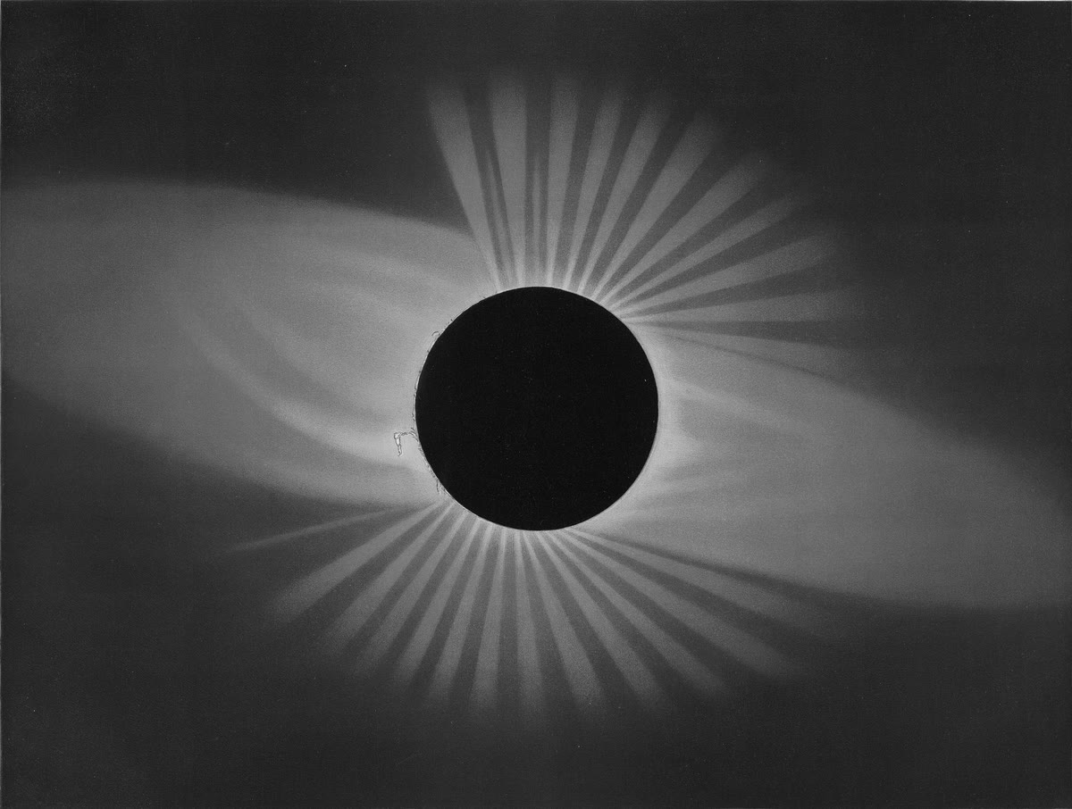 Dessin de la couronne solaire en longues aigrettes autour du disque noir